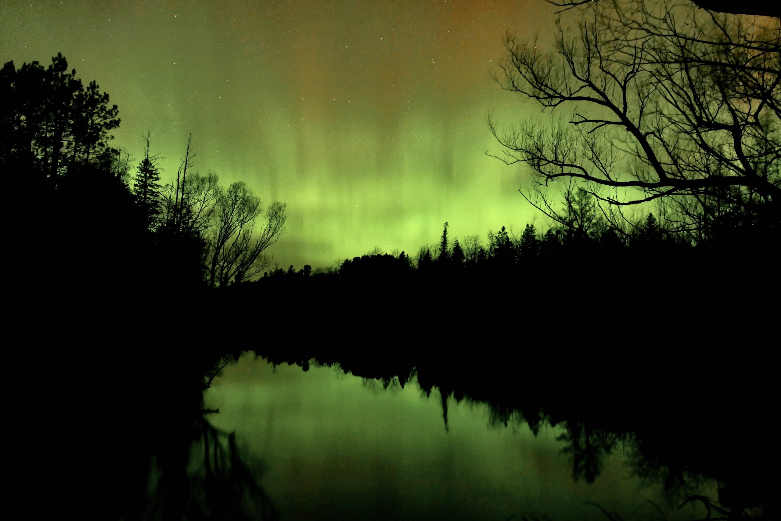 Hans Schmitt - Springs and Seasons - LIGHTS PLOVER RI